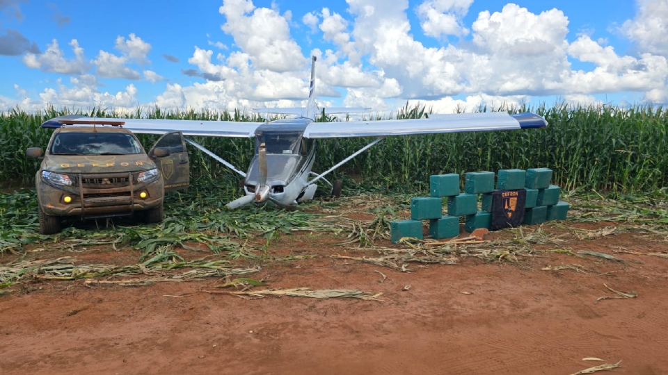 Gefron apreende 500 kg de cocana aps queda de aeronave em milharal