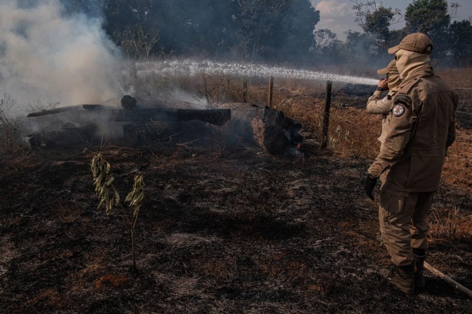 Incndio de grandes propores atinge propriedade rural no Pantanal; Bombeiros tentam conter
