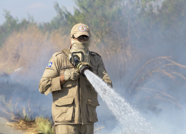 MT adota novas medidas para prevenir incndios no Pantanal