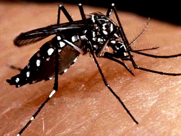 Mato Grosso registra queda de 430% nos casos notificados de dengue