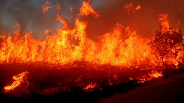 Incndio fecha Parque Nacional de Chapada dos Guimares por tempo indeterminado