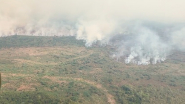 Incndio no Pantanal j atinge 40 mil hectares e aparece nos satlites da Nasa