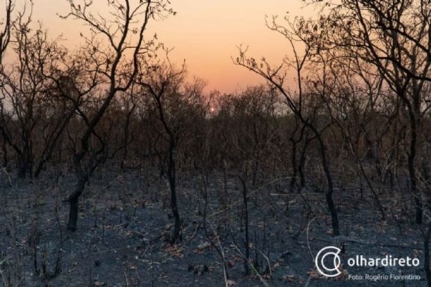 Ministrio do Meio Ambiente interrompe combate a queimadas no Pantanal