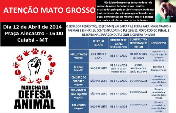 Na mira de ativistas, Taques  alvo de manifestao contra diminuio nas penas contra maus tratos a animais