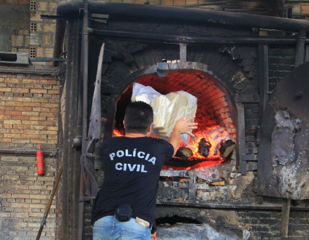 Polcia Civil incinera cerca de 300 quilos de maconha em cidade de MT