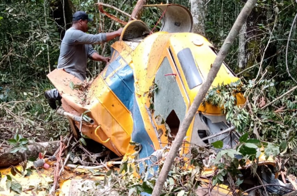 Piloto morre após avião agrícola cair em zona rural de MT; veja fotos