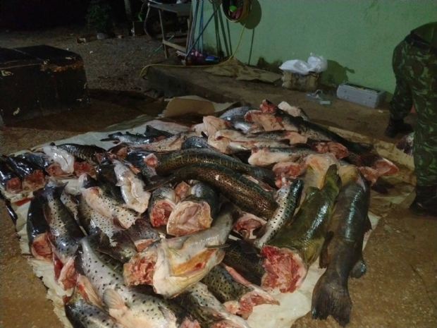 Polcia apreende 900 quilos de pescado, aplica multa de R$ 24 mil e um acaba preso