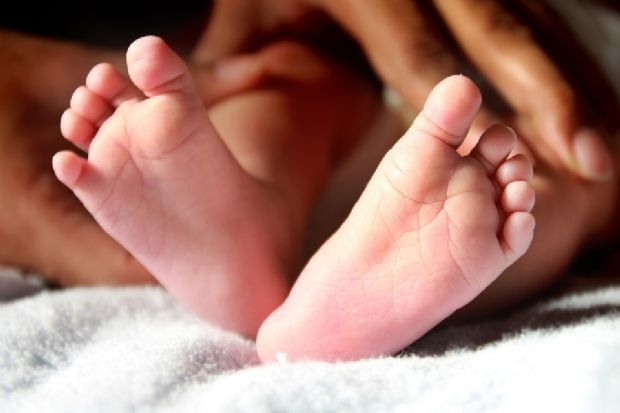 Beb de cinco meses que dormia na mesma cama dos pais  encontrada morta durante a manh