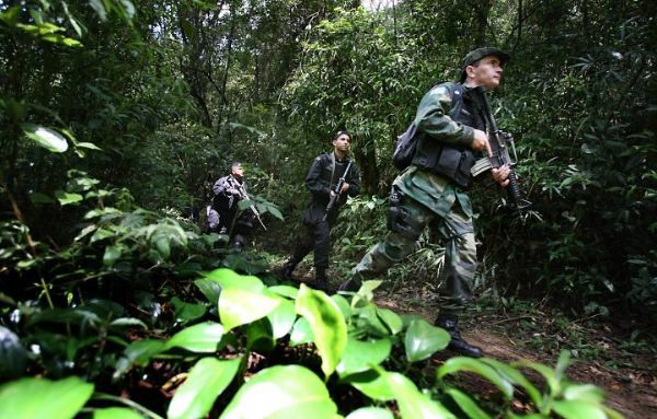 Policiais trocam tiros com ladres de banco dentro da floresta no estado