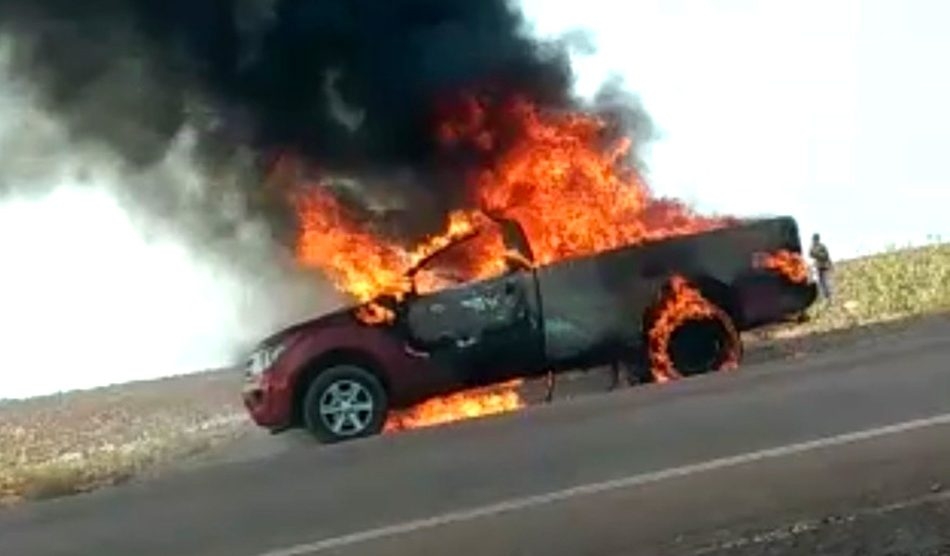 Caminhonete pega fogo em rodovia e 150 codornas morrem queimadas