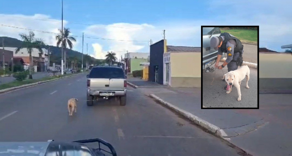 Motorista  preso por andar com cachorro amarrado em engate de carro;  veja vdeo