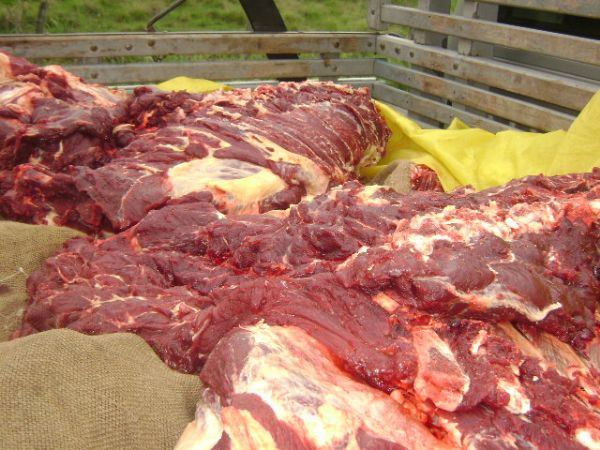 carne apreendida foi incinerada sob protestos de comerciantes