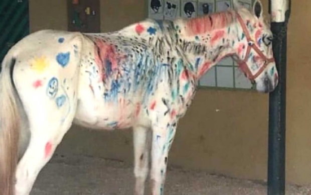 OPA-MT v maus-tratos em pintura de cavalo por crianas durante atividade pedaggica
