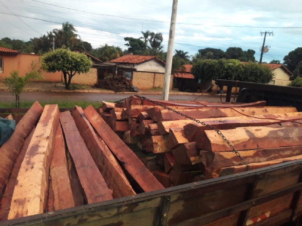 Caminhoneiro  preso transportando madeira retirada ilegalmente de terra indgena