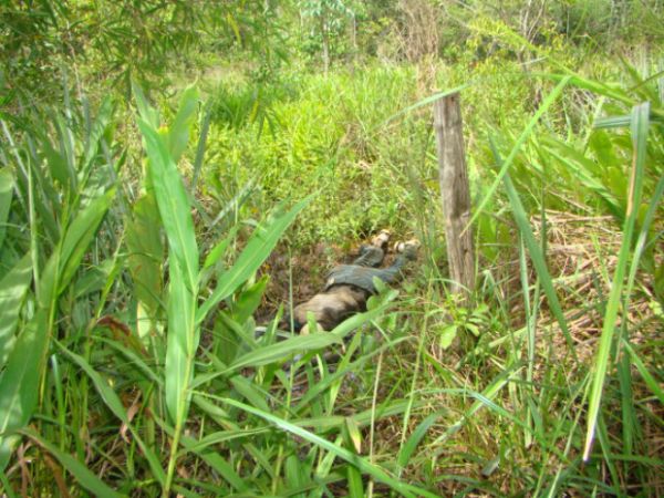 Crianas encontram corpo em decomposio em matagal em MT