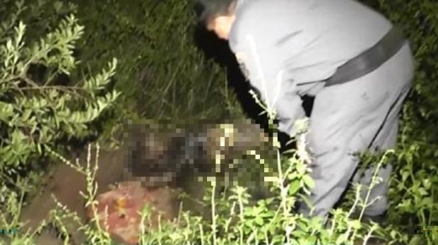 Corpo de mulher  encontrado em matagal em avanado estado de decomposio