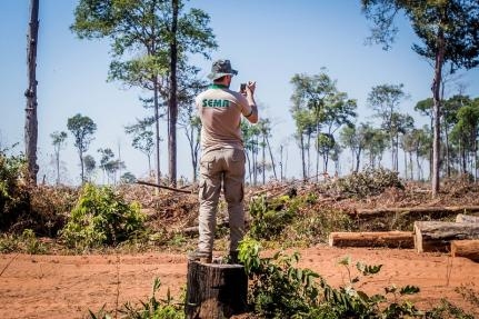 Mato Grosso obtm melhor resposta em fiscalizao do desmatamento no pas