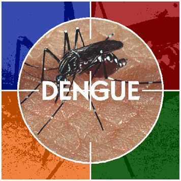 Garoto de 13 anos morre vtima de complicao de dengue hemorrgica