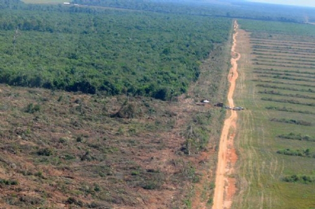 MT reduz nmero de desmatamento e governador assume compromisso com a Amaznia Legal