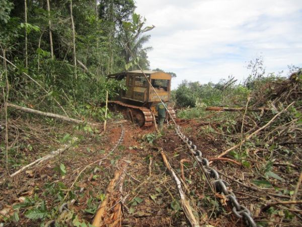 Desmatamento resulta no embargo a 38 propriedades rurais em MT