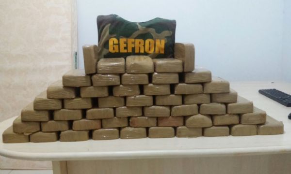 Gefron apreende 50 kg de drogas e dinheiro do trfico em aes na fronteira