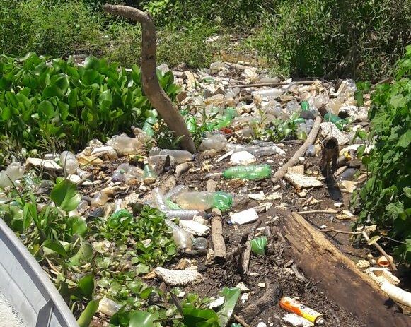 Perodo de chuvas j carregou mais de 450 toneladas de lixo para o Pantanal; voluntrios se mobilizam para limpar local