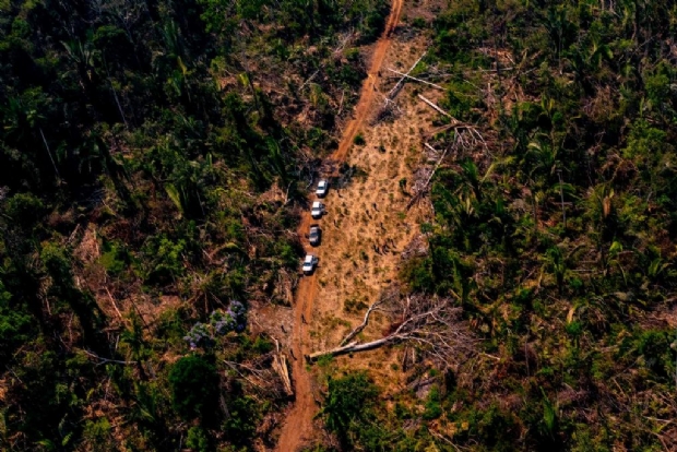 Fora-tarefa em MT embarga quase 11 mil hectares por desmatamento ilegal