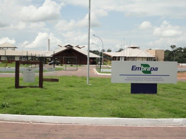 Embrapa confirma complementao salarial para funcionrios em Sinop