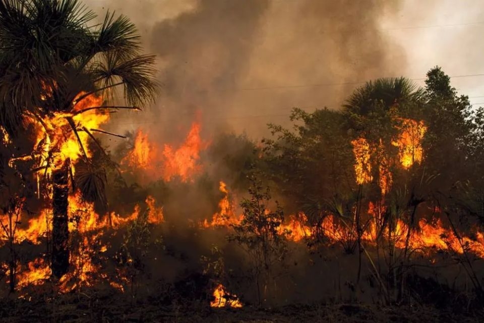Ministrio do Meio Ambiente decreta estado de emergncia em Mato Grosso