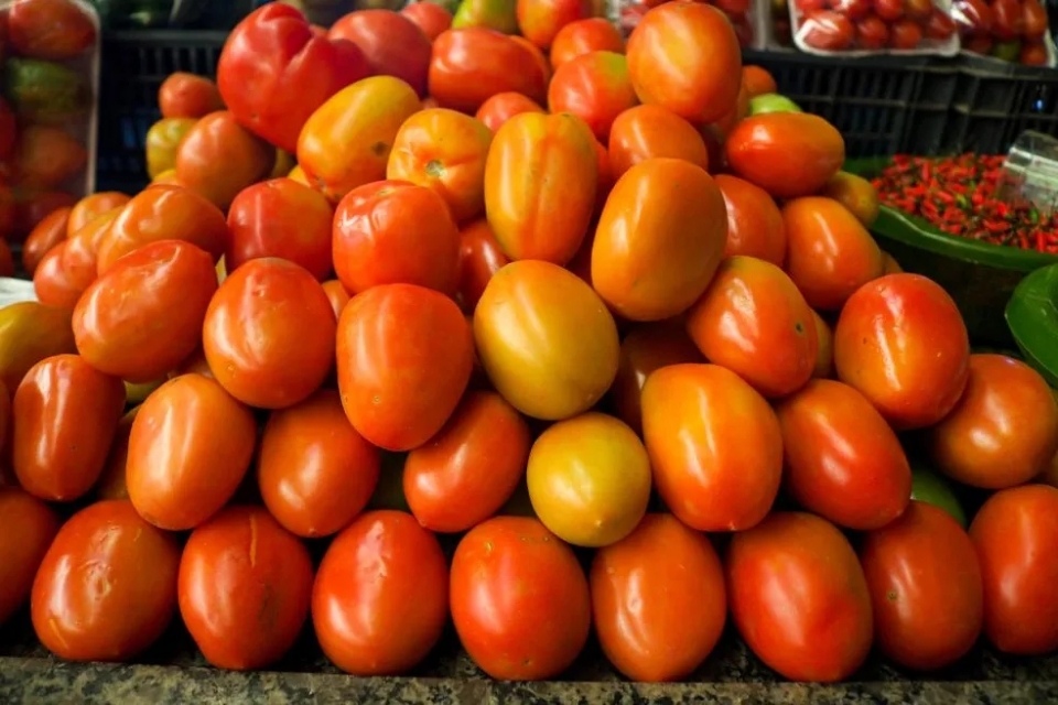 Aumento do preo do tomate preocupa consumidores em Cuiab; elevao de 4,97%
