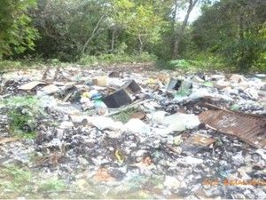 Lixo em rea de mata nativa em Aquidauana