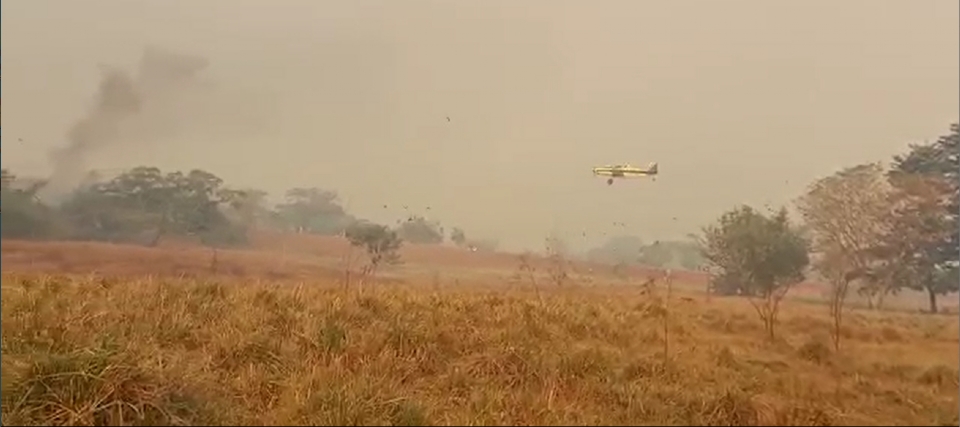 Em nove dias, incndio consome mais de 23 mil hectares de vegetao em Mato Grosso;  veja vdeo