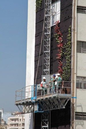 Jardim vertical suspenso comea a ser montado no Edifcio Huds