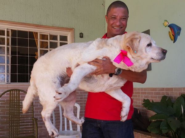 empresrio Marco Antnio dos Santos ergue a cadela Judi, que est obesa, no colo