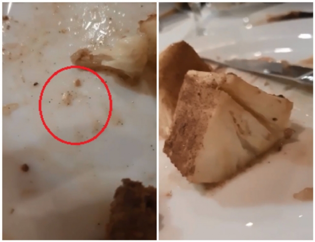 Cliente encontra larva em alimento na churrascaria Favo de Mel; veja vdeo