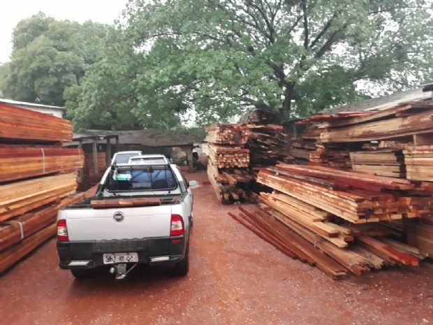 Dema e Sema apreendem 535 m de madeira serrada e multam madeireira em R$ 407 mil