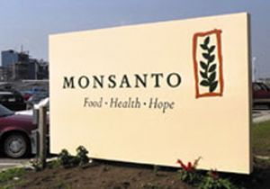 Monsanto adia cobrana de royalties da soja RR1 at deciso final no STJ