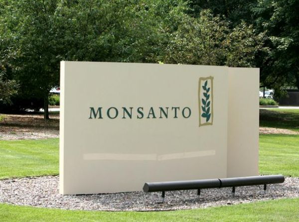 Pagamento de royalties  Monsanto ser discutido em assembleia geral
