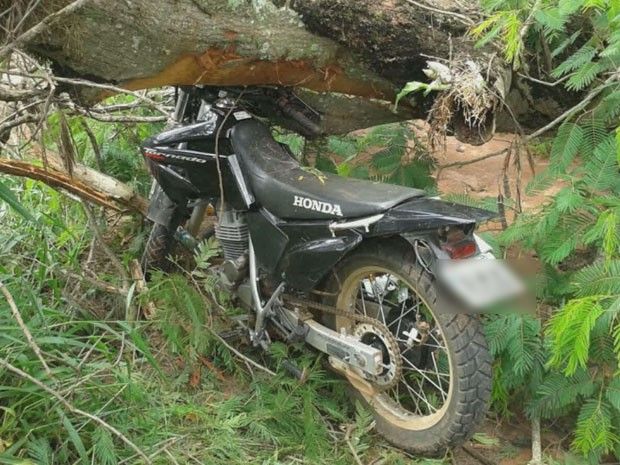 rvore despenca, mata motociclista de 51 anos e deixa filho ferido