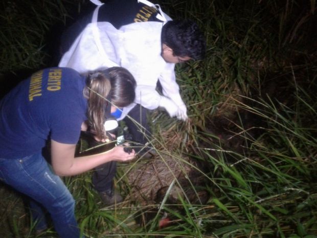 Corpo de mulher  encontrado em matagal e polcia suspeita de que seja de jovem de 22 anos