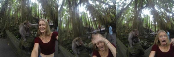 Mulher tenta tirar selfie com macaco e acaba sendo atacada pelo primata