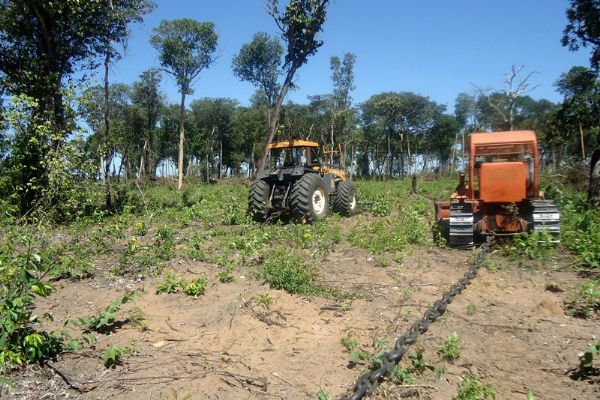 Operao contra desmatamento resulta em R$ 20 milhes em multas