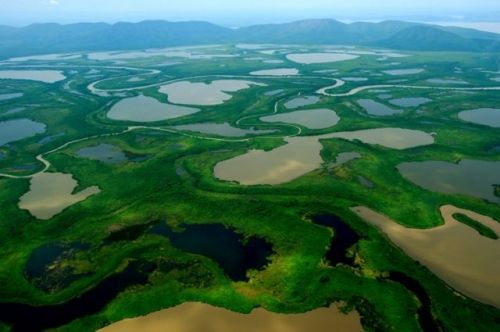 O Pantanal  considerado a maior plancie alagada do planeta e um dos maiores potenciais tursticos de Mato Grosso