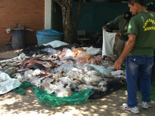 Fiscalizao apreende 2 toneladas de pescado ilegal; multas chegam a R$ 130 mil