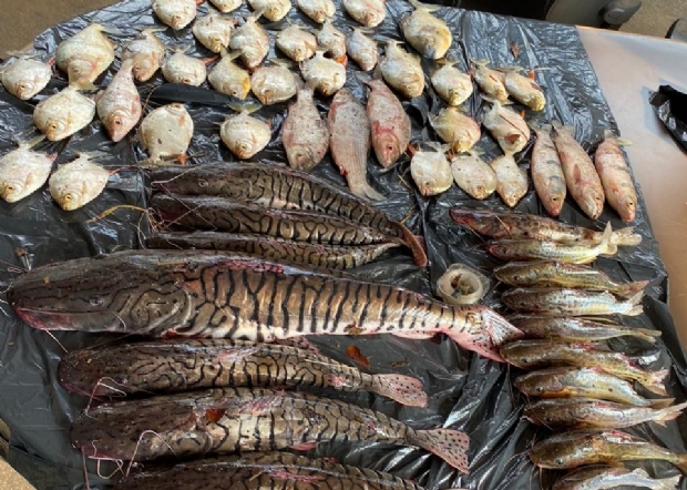 PM apreende 56 peas de pescado e prende homem com tarrafas e redes; veja vdeos
