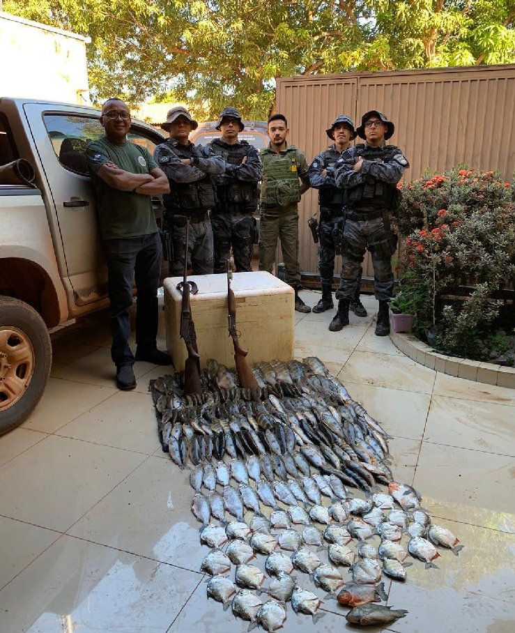 Polcia Militar e Sema apreendem 55 quilos de pescado irregular em MT; veja vdeo