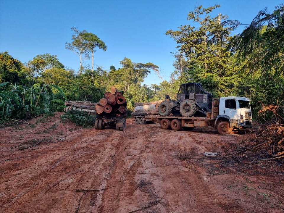 PF apreende 15 caminhões carregados com madeira em operação contra o crime em terra indígena de MT