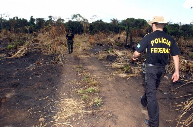 Polcia Federal combate explorao de madeira em terra indgena de Mato Grosso