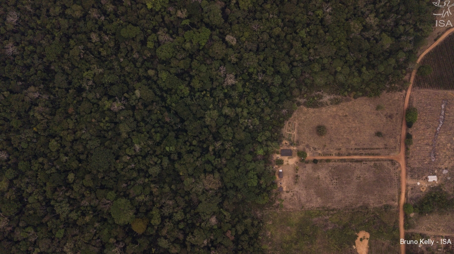 Territrio PIripkura foi a terra indgena com presena de povos isolados mais desmatada em 2020. (Foto: Bruno Kelly)