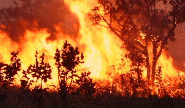 Incndios florestais nas nascentes do rio Cuiab j duram mais de 15 dias
